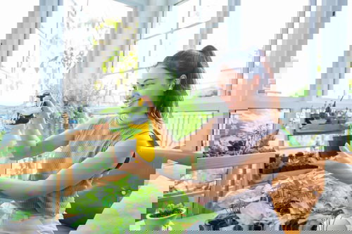 ดูแลตัวเอง จัดสวน