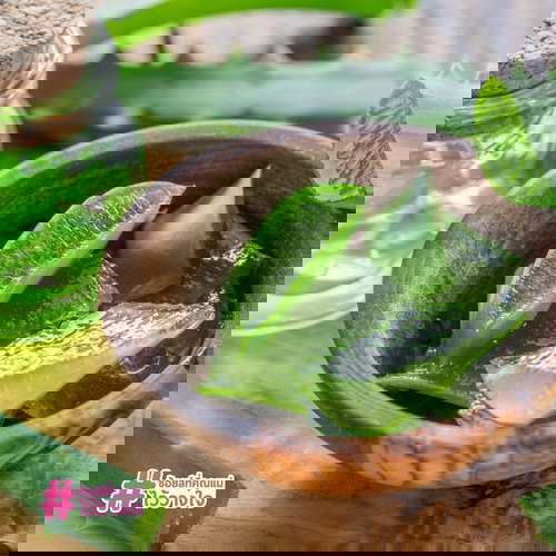 เซรั่มลดรอยแตกลาย ลดรอยแตกลาย ครีมลดรอยแตกลาย