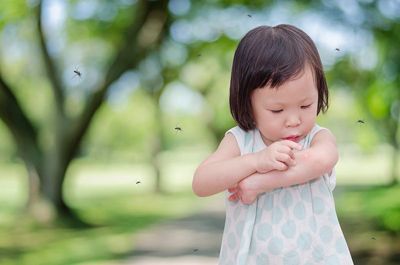 The Best Baby Lotion for Mosquitoes in Singapore
