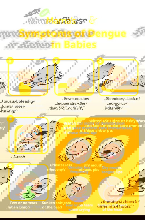 Symptoms of dengue in babies