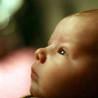 Karina Lim profile icon