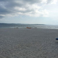 Cathy Lee profile icon