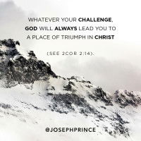 Iris Cheah profile icon