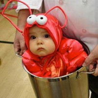 Pooja Khatri profile icon