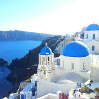 Felicia Shini profile icon