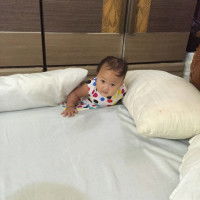 Sophia Ilangos profile icon