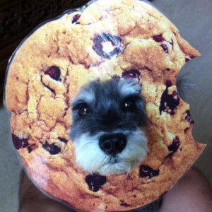 Jon & Emmy W profile icon