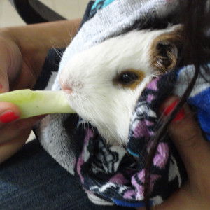 Ekta Singh profile icon