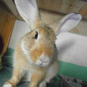 Ericca Geronimo profile icon