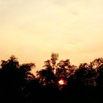 Aira Mirasol profile icon