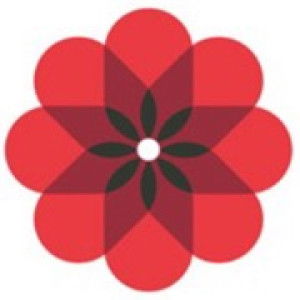 SG Exam Paper profile icon