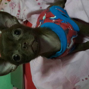 แอน อรอนงค์ profile icon