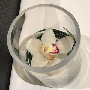 Natasha Ng profile icon