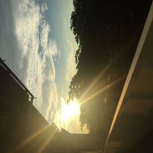 Wei Ting Chin profile icon