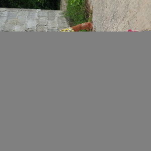 กวินทิพ ทับศิริ profile icon