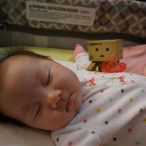 Shynna April Lee profile icon