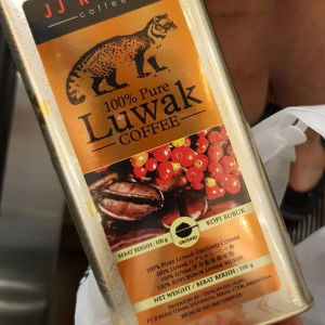 Stella Bai Yuling profile icon