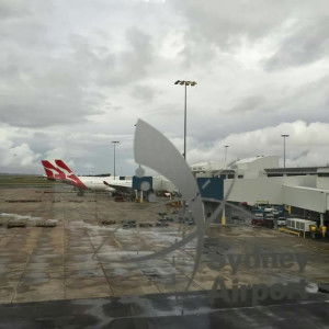 Ruzel Villasoto profile icon