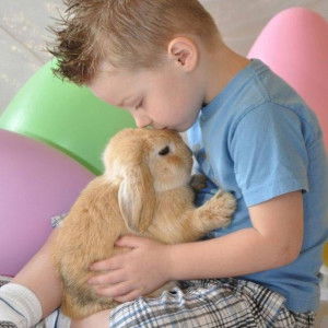 Srirat Lk Ng profile icon