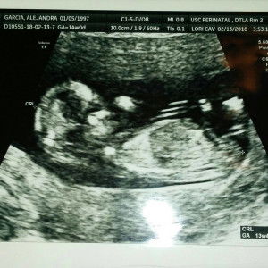 Everlyn Monrroy profile icon