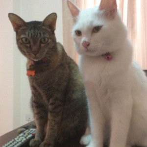 Panadda Fon profile icon