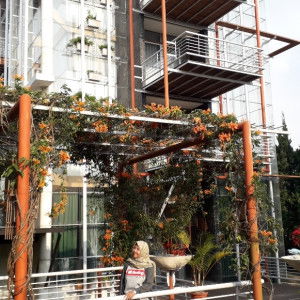 Prasilliana profile icon