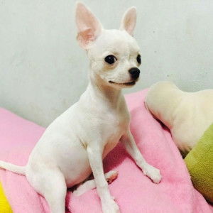 Irin Winner profile icon