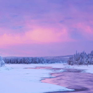 Suwit Poonri profile icon