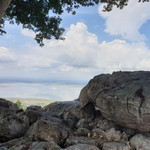 Ataya Jongwisuttisun profile icon