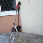 San Tikan profile icon