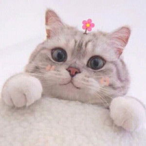 little Galynn. profile icon