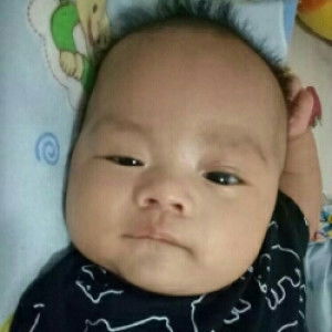 faradinalwp profile icon