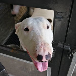 Muchalyn Kowattana profile icon