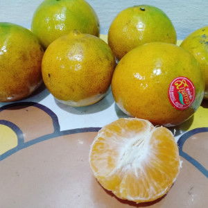 khunnumnim profile icon