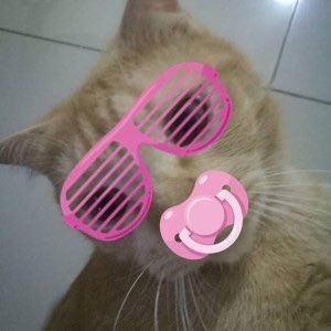 ปลาทอง มองบน profile icon