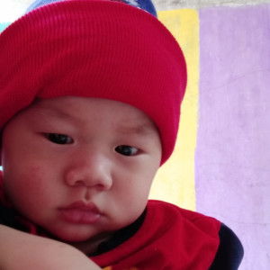 Feby Wijaya profile icon