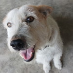 unchalee profile icon