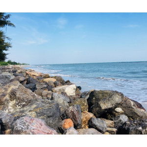 Phung Tom profile icon