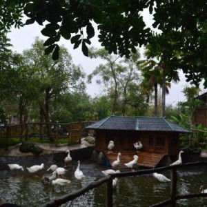 Elsi Chalista profile icon