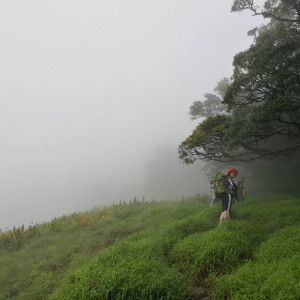 Pornchulee Charoenpol profile icon