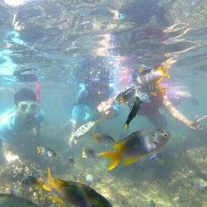 Kholifatun Andini profile icon