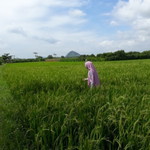 nurul hidayatur rohmah profile icon
