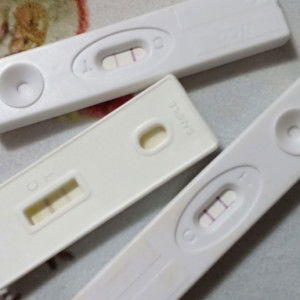 Annie Aus profile icon