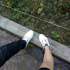 Cay Ogaitnas profile icon