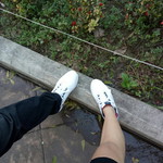 Cay Ogaitnas profile icon