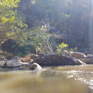 Moji TD profile icon