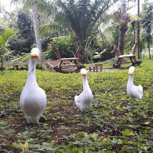 ณัฐรดา เบือนขุนทด profile icon