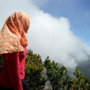 mega haerunita profile icon