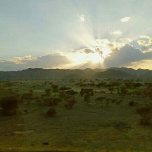 Lusiana Yulaicha profile icon