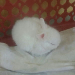 สุภัสสร โพธิ์ทอง profile icon